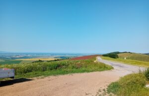 Pohľad na neďaleký Uchánok z Černeckého vrchu